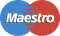 Maestro Card Logo