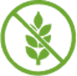 Gluten Free